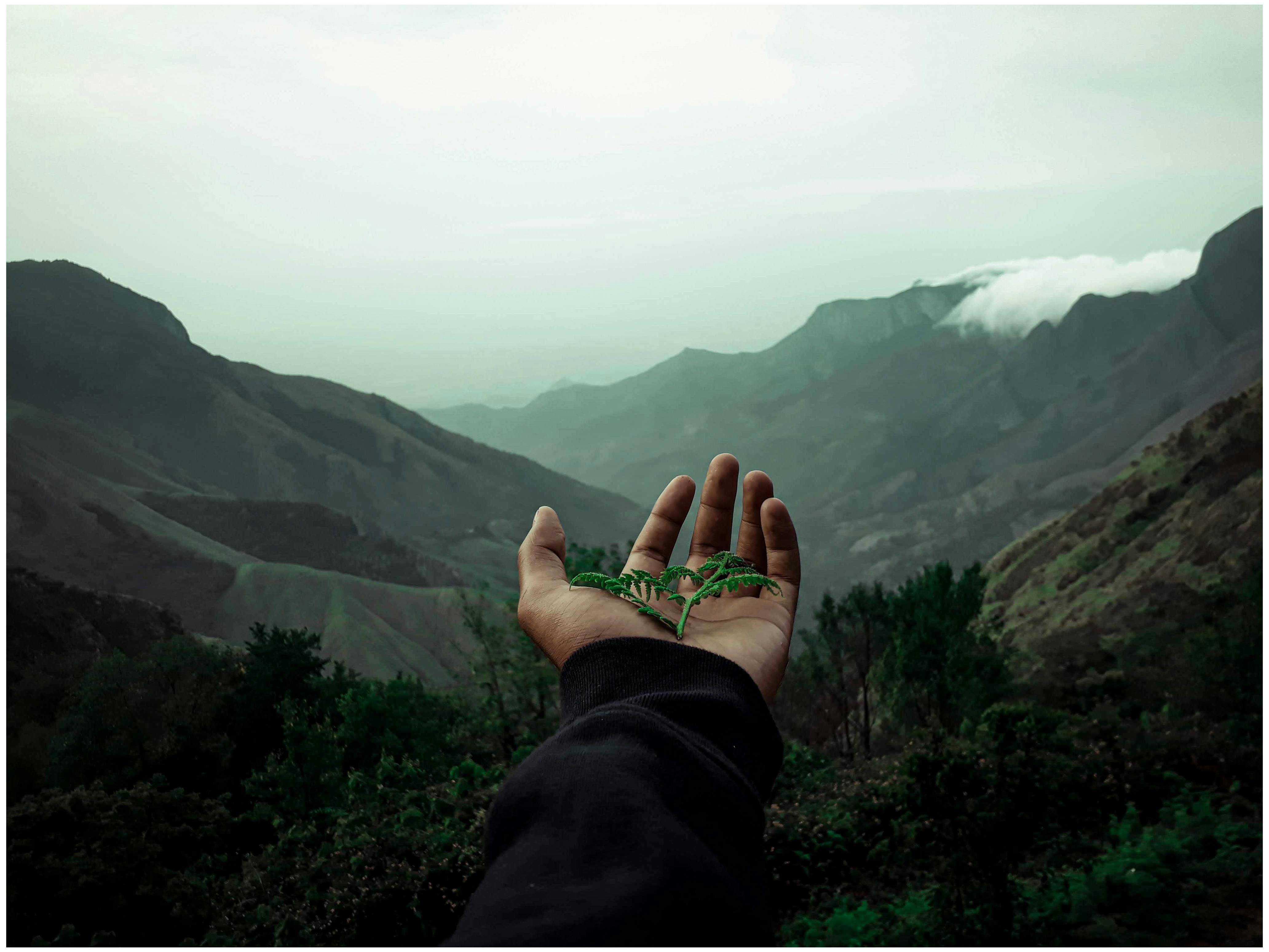 Головне зображення: Креативний домашній офіс