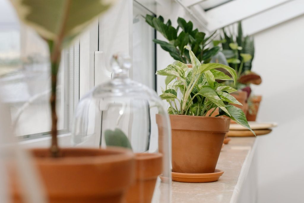 Девушка ухаживает за цветами дома